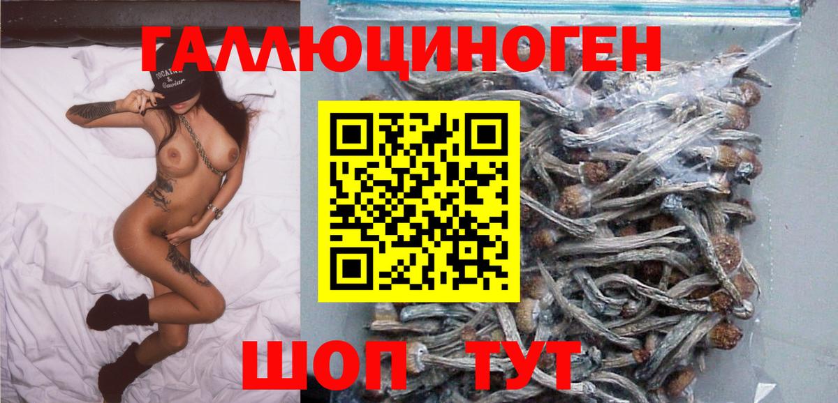 Нарьян-Мар  Псилоцибиновые грибы GOLDEN TEACHER  Вход с VPN 