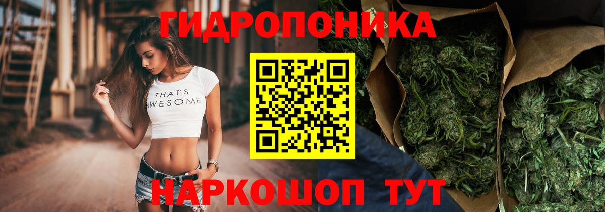 Нарьян-Мар  Бошки марихуана конопля  Бошки марихуана индика  Вход с VPN 